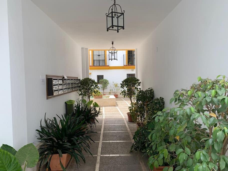 Pilsev Center Apartment Sevilla Exteriör bild